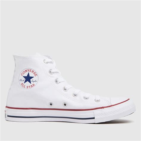 converse all star gucci